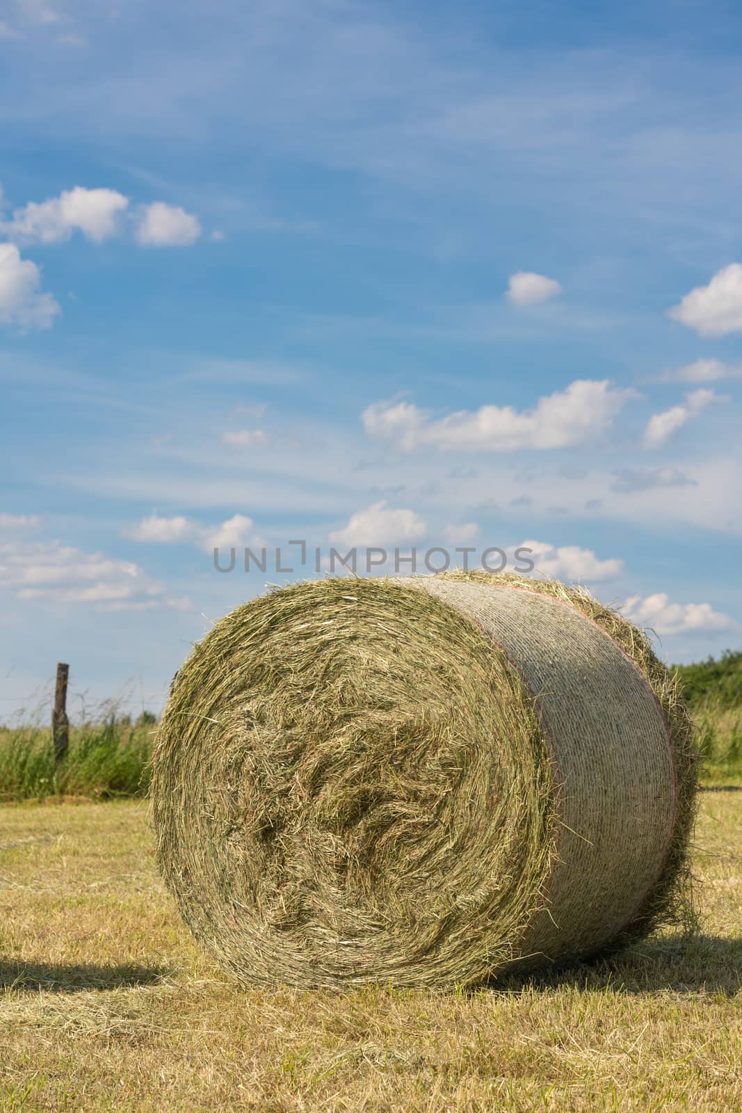 Panoramic image of hay rolls on a meadow against blue sky, agriculture, Germany