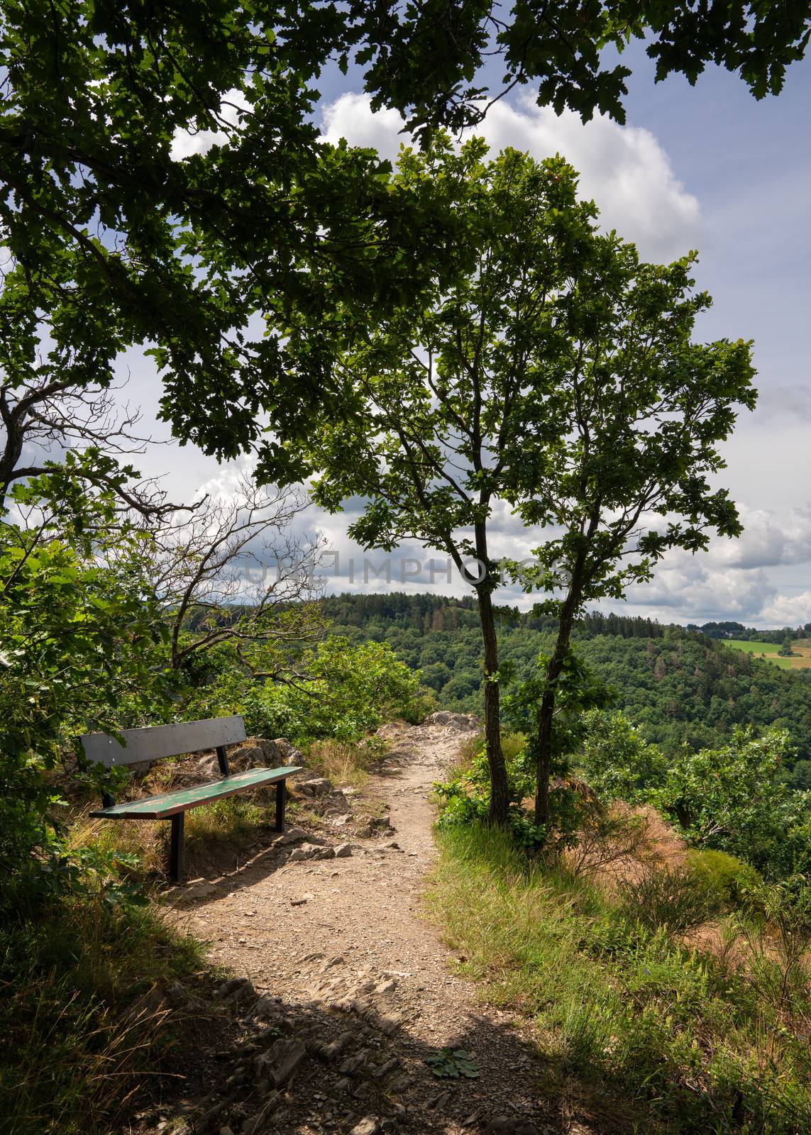 Hiking trail with bench under trees close to Bernkastel, Moselle, Germany