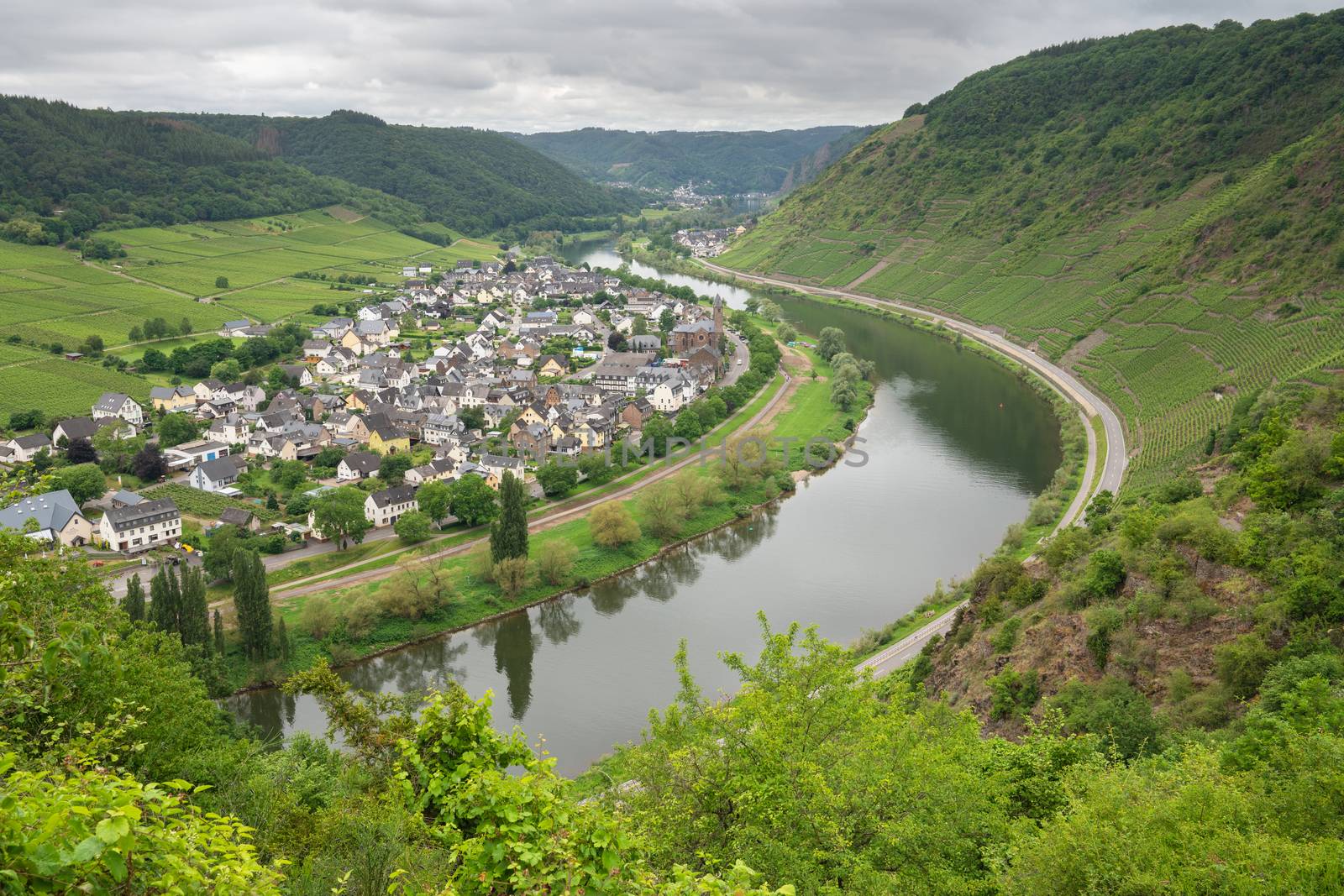 Panoramic image of the Moselle village Ernst close to Cochem on a dully day, Germany