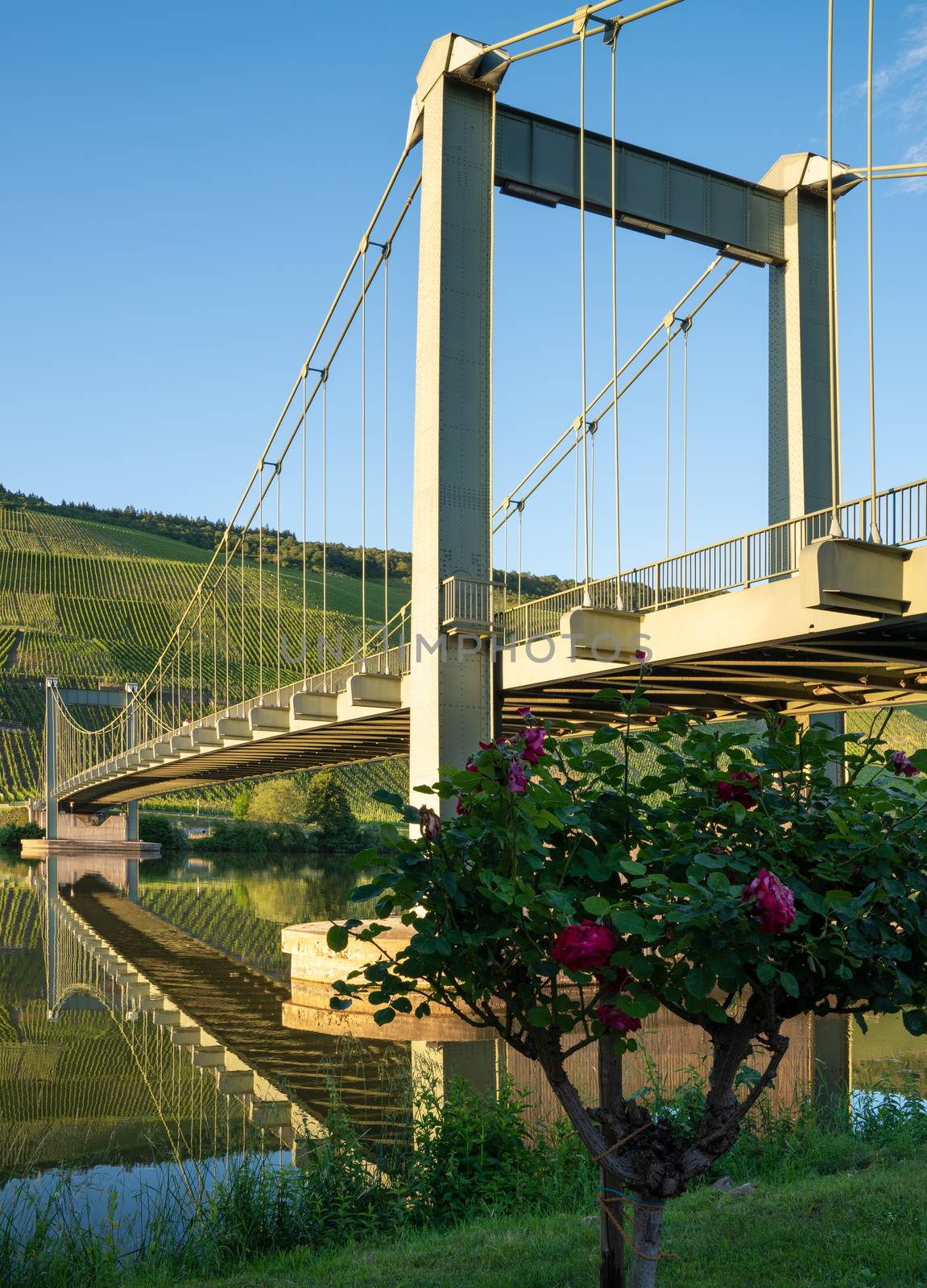 Bridge crossing the Moselle river close to Wehlen, Germany 