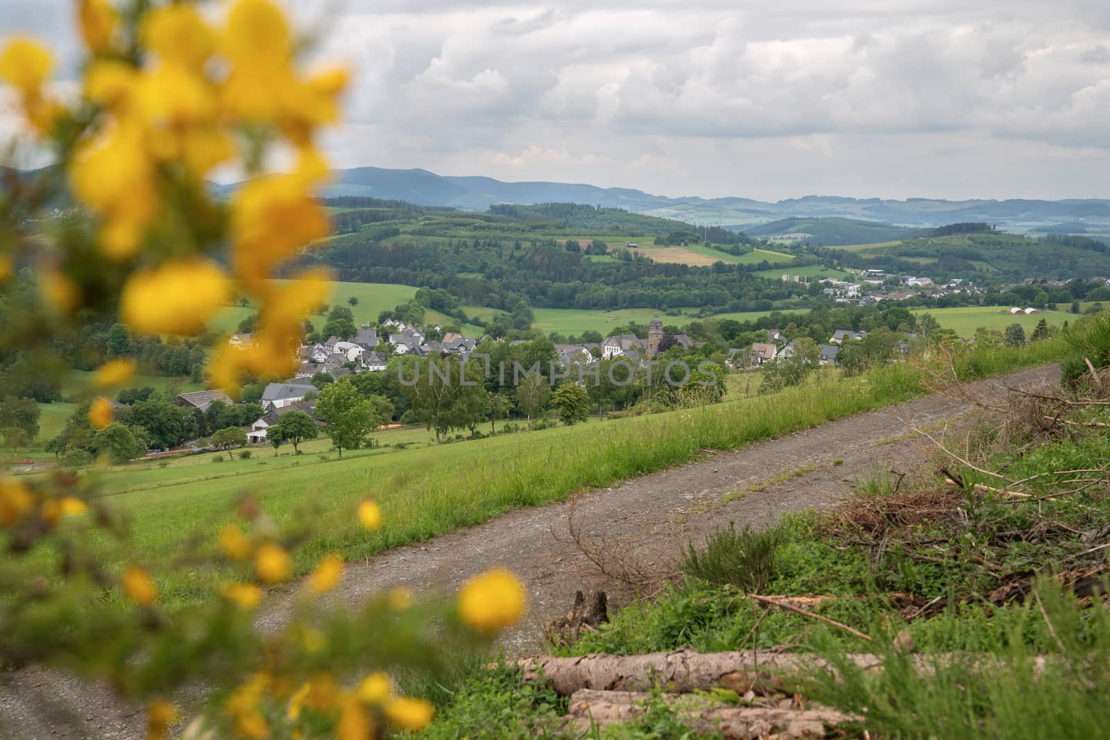 Panoramic image of the landscape close to Winterberg, Sauerland region, Germany