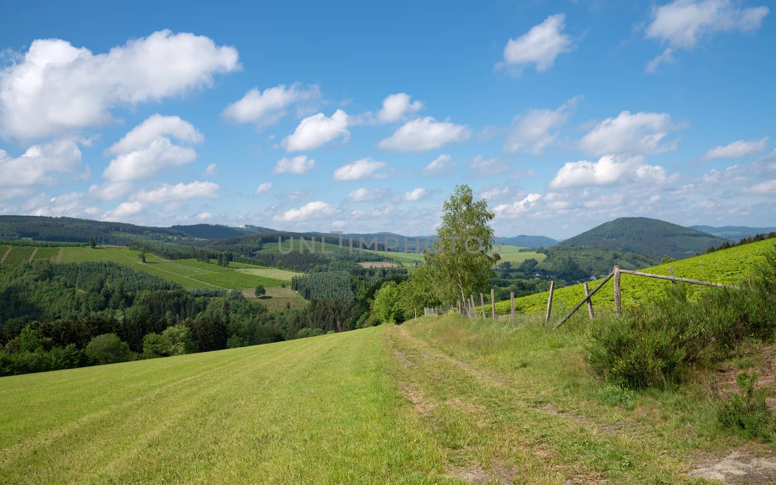 Panoramic image of the Sauerland region close to Winterberg with a small hiking trail through a green meadow, Germany