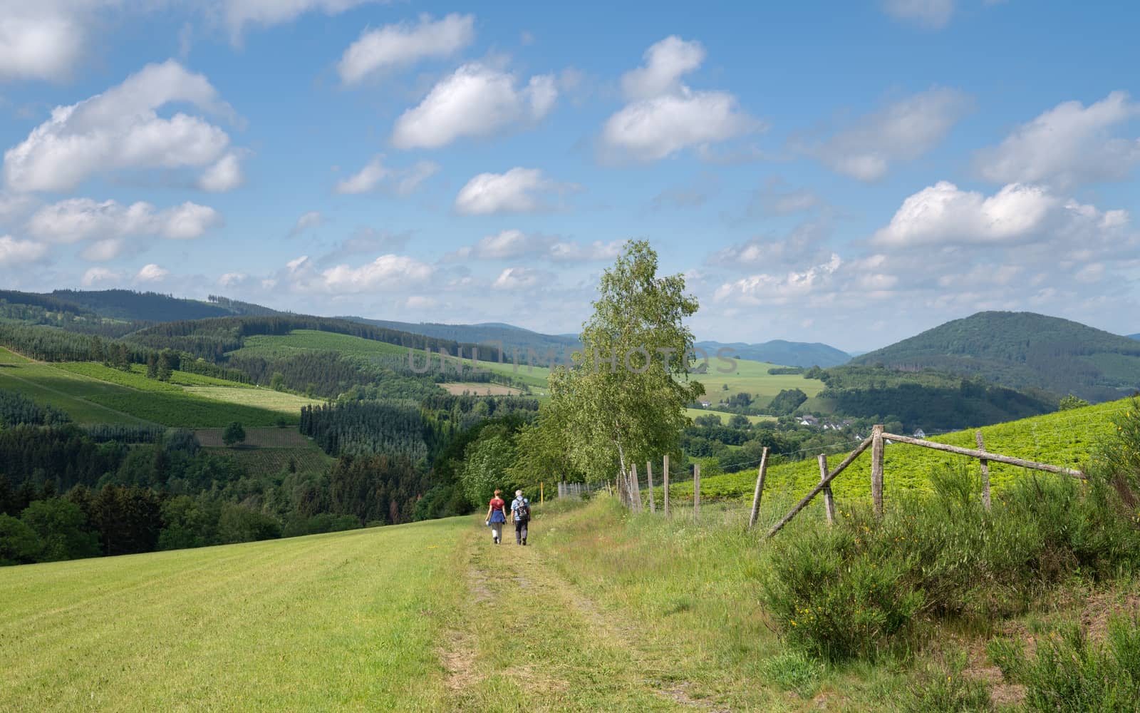 Panoramic image of the Sauerland region close to Winterberg with a small hiking trail through a green meadow, Germany