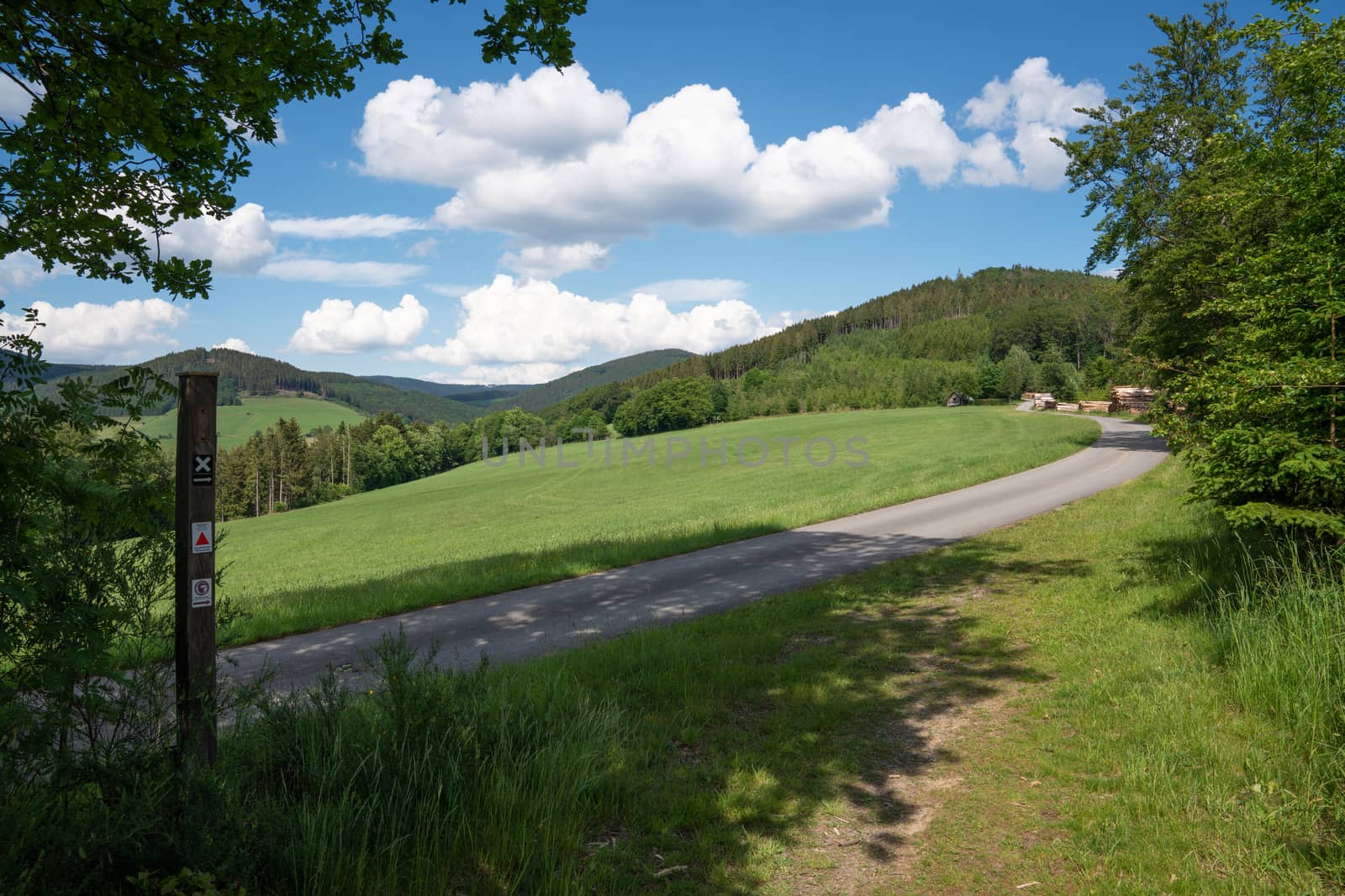 Panoramic image of the Sauerland region close to Winterberg with a hiking trail through a green meadow, Germany