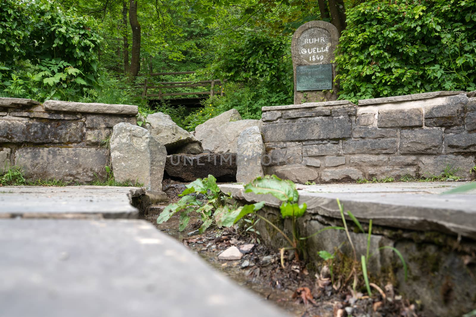 Spring of the river Ruhr with memorial stone and surrounded by trees, Winterberg, Sauerland, Germany