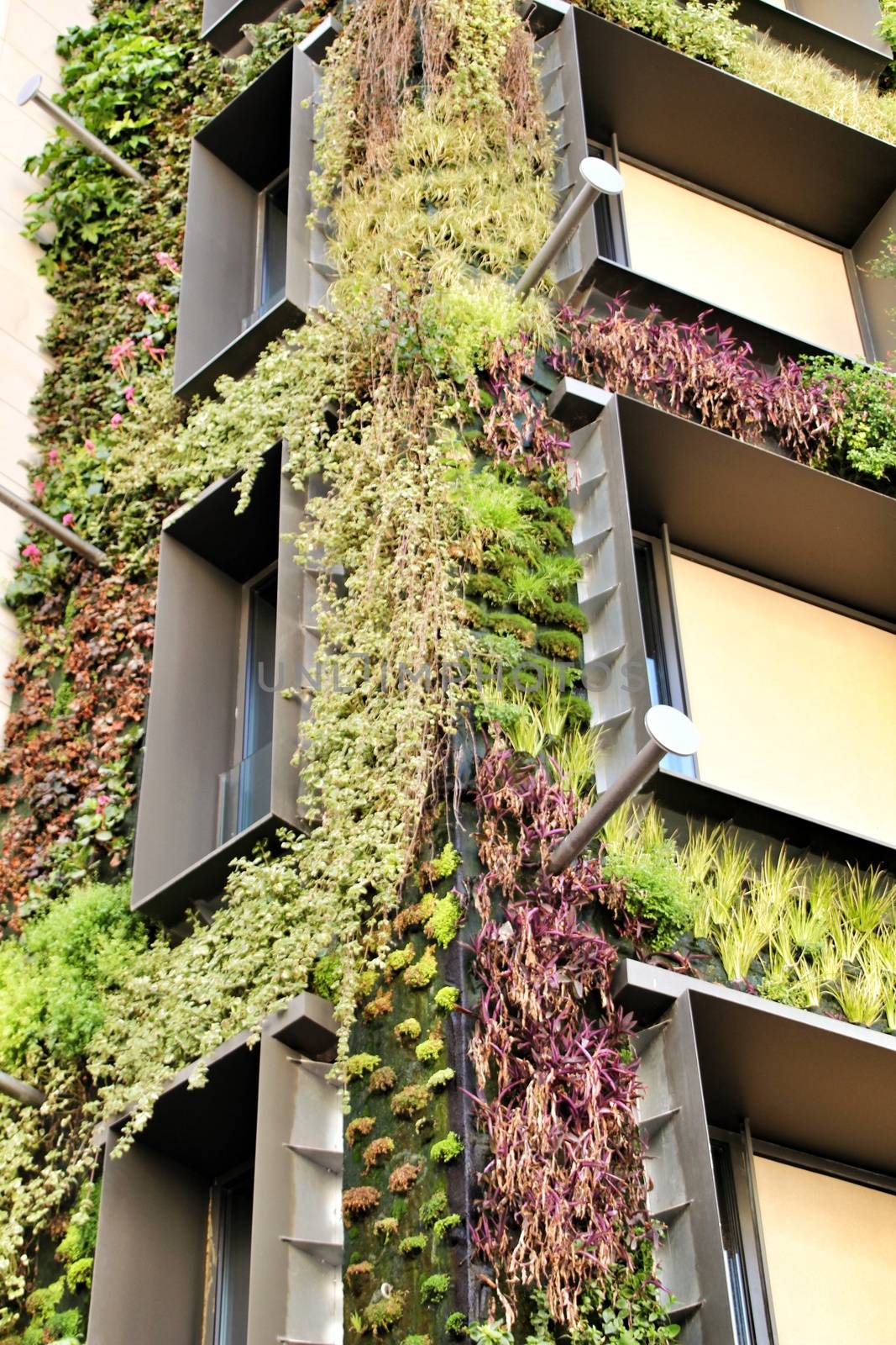 Beautiful modern facade with vertical garden in Madrid