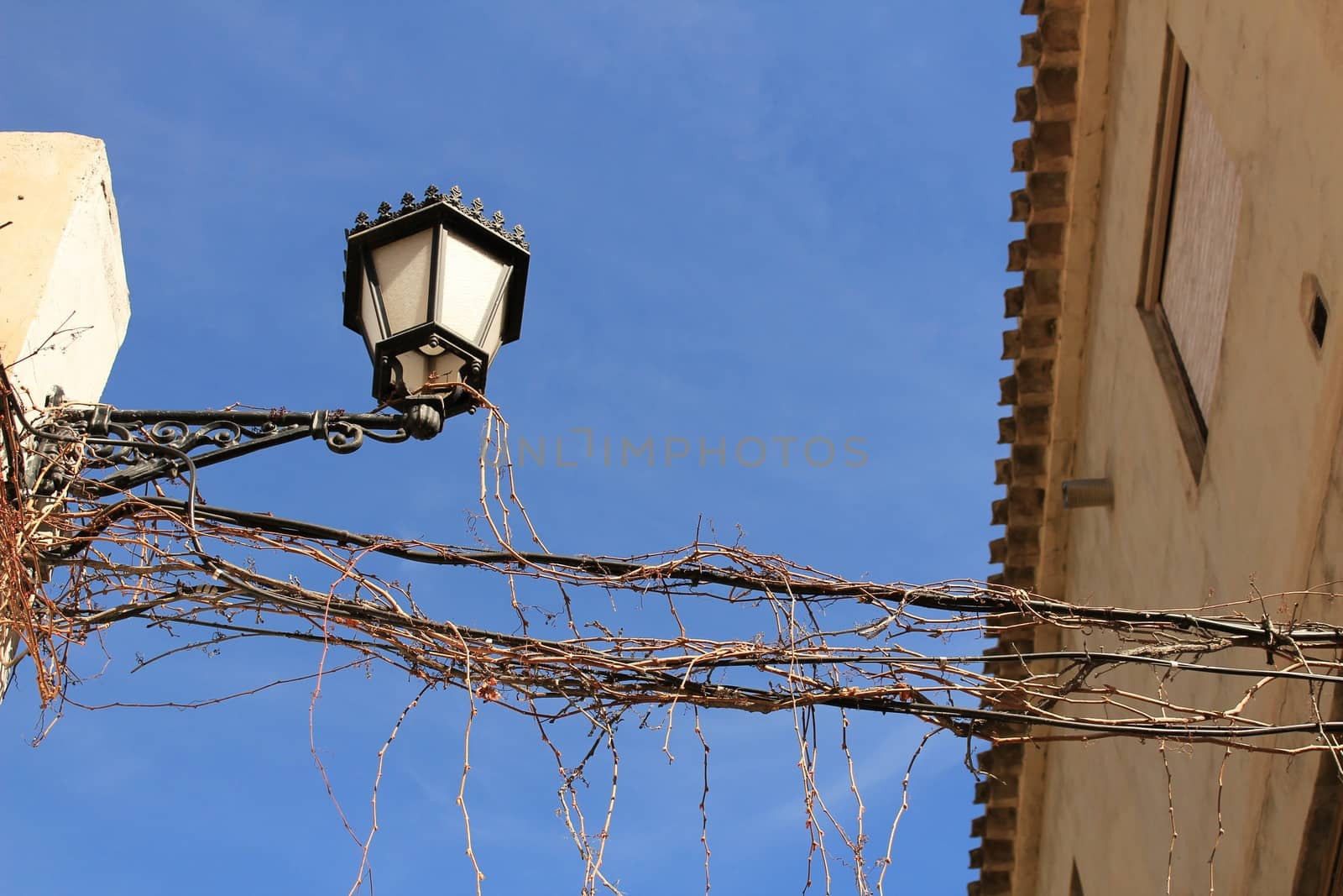 Streetlight and vine under blue sky in a Caravaca de la Cruz street, Murcia.