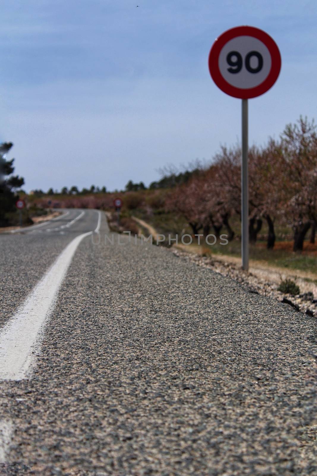 Lonely road with speed road sign by soniabonet