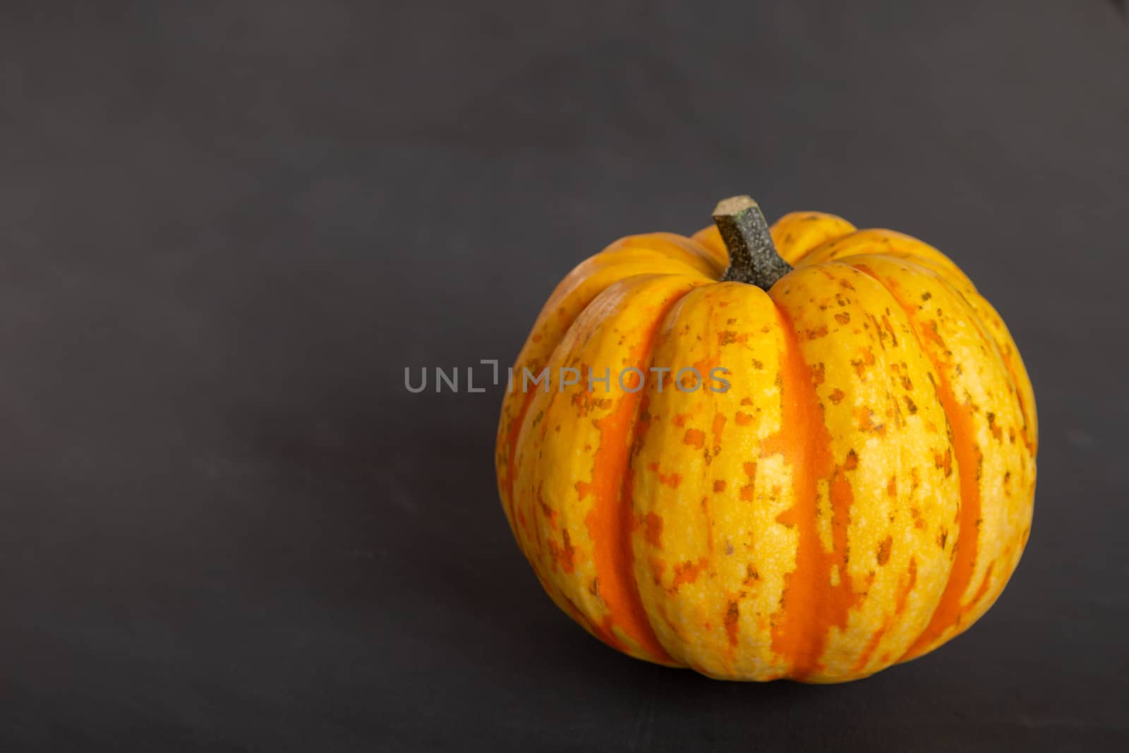 Orange, yellow pumpkin lies on a black background by 25ehaag6