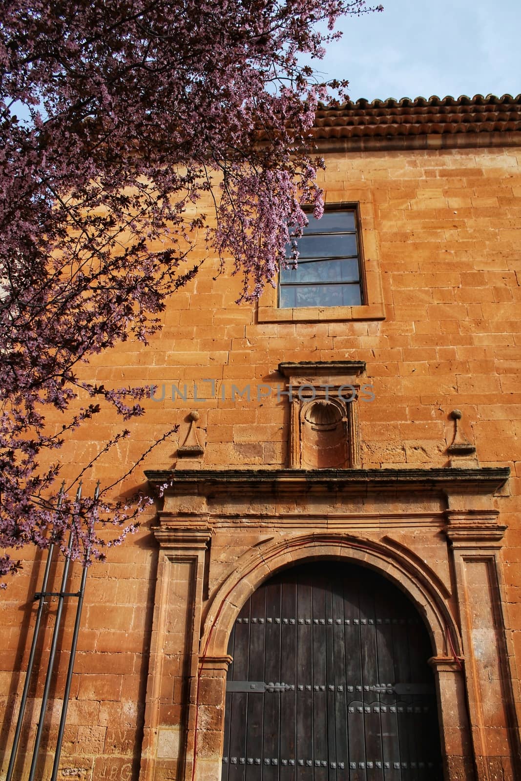 Beautiful pink cherry tree in bloom next to San Miguel Arcangel parish in Alcaraz in spring. Old and antique facades and stone stairs in foreground