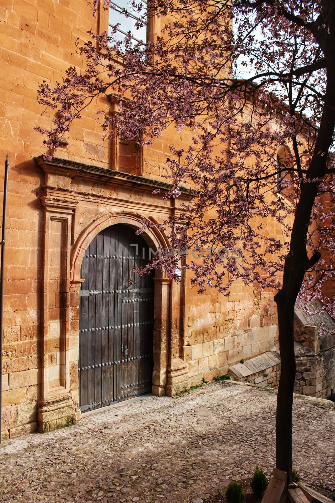 Beautiful pink cherry tree in bloom next to San Miguel Arcangel parish in Alcaraz in spring. Old and antique facades and stone stairs in foreground