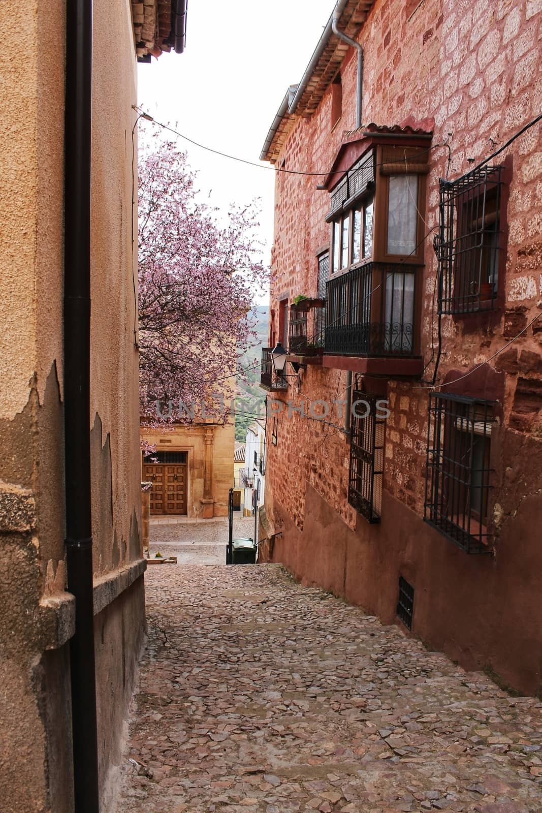 Cherry tree in bloom next to San Miguel Arcangel parish in Alcaraz by soniabonet