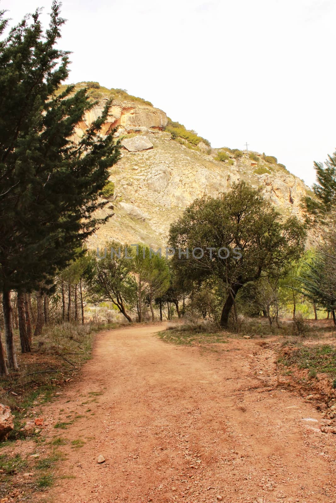 Mountain landscape and path between with green vegetation in spring in Castilla la Mancha, Spain