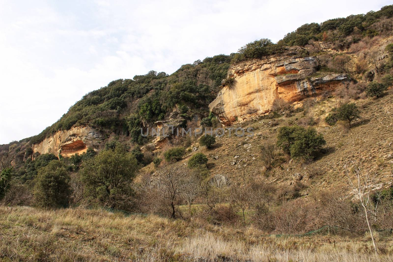 Mountain landscape with green vegetation in spring in Castilla la Mancha, Spain