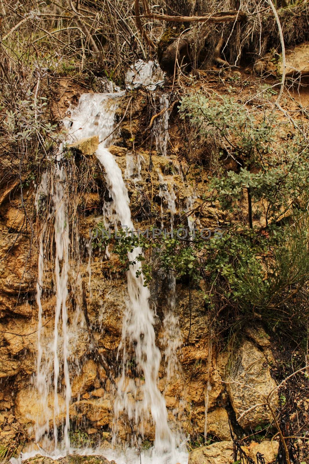 Waterfall in leafy forest by soniabonet