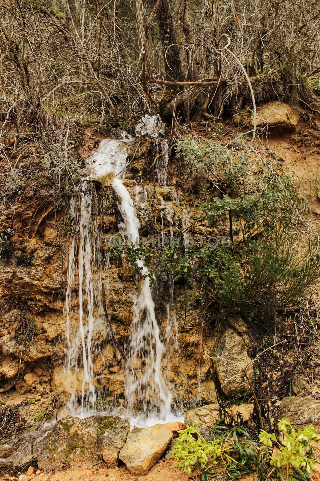 Waterfall in leafy forest in Spring