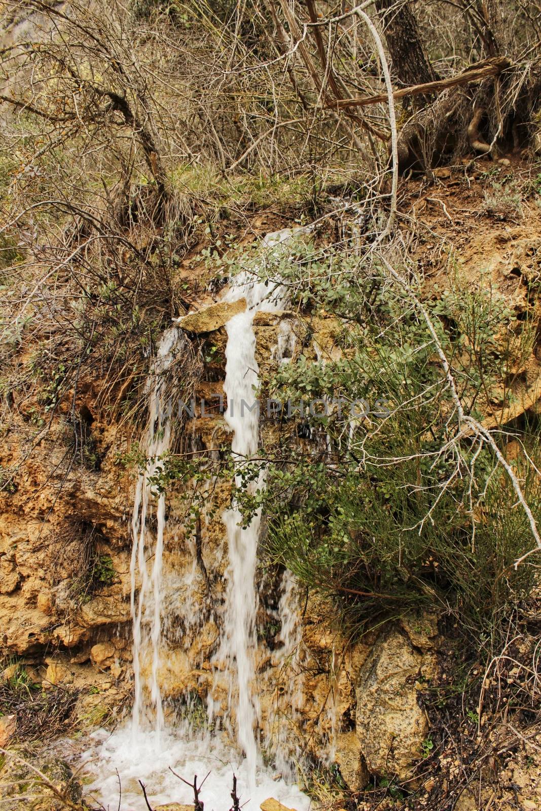 Waterfall in leafy forest in Spring