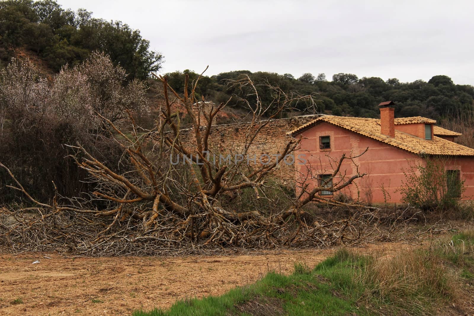 Stone house on the mountain surrounded by vegetation in Castilla La Mancha, Spain