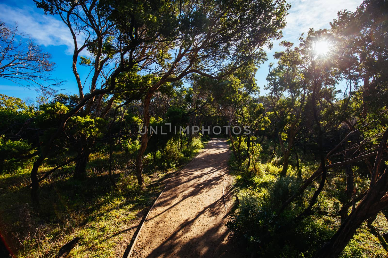 Cape Schanck Lighthouse Reserve on a cool clear winter's morning on the Mornington Peninsula in Victoria, Australia