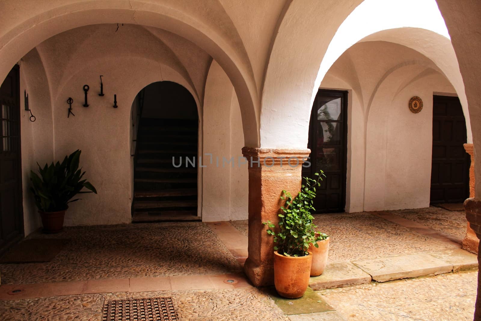 Courtyard of a typical house in Villanueva de los Infantes , Castilla la Mancha, Spain