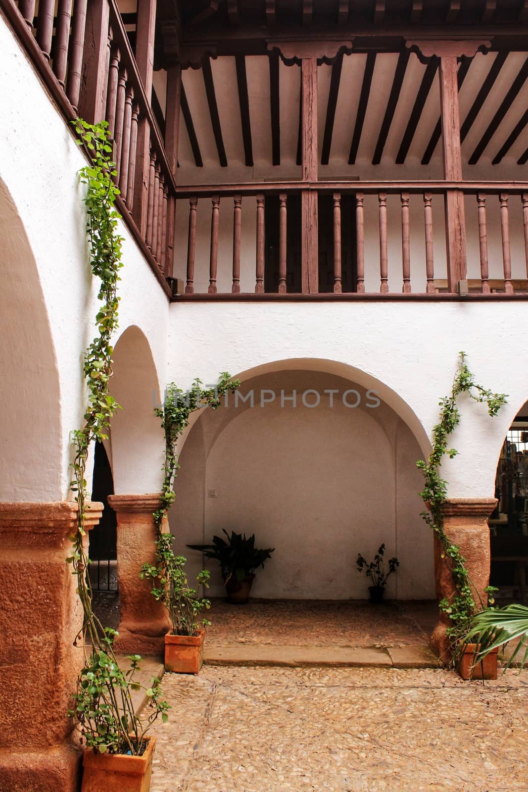 Courtyard of a typical house in Villanueva de los Infantes , Castilla la Mancha, Spain