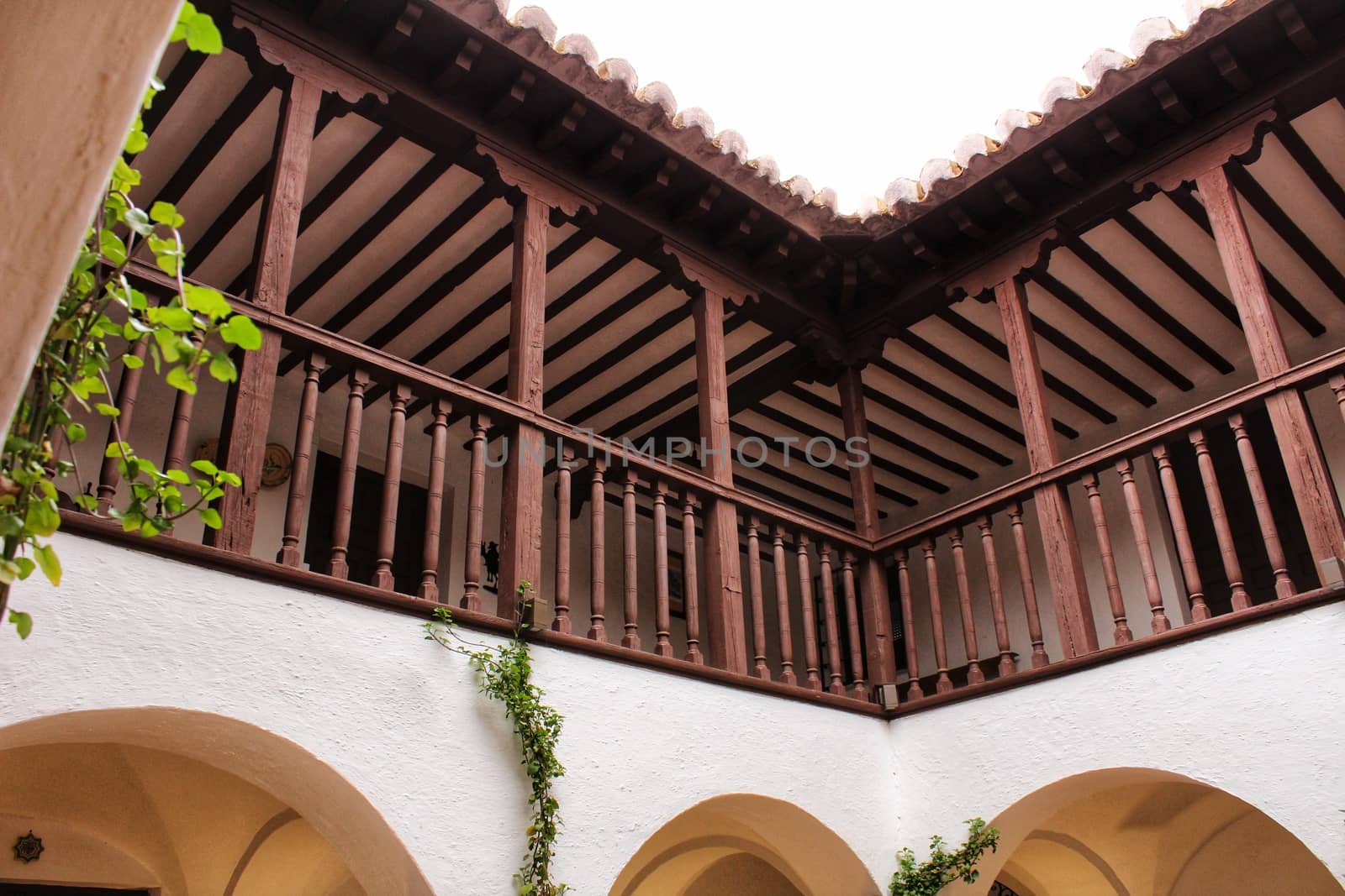 Courtyard of a typical house in Villanueva de los Infantes , Castilla la Mancha, Spain