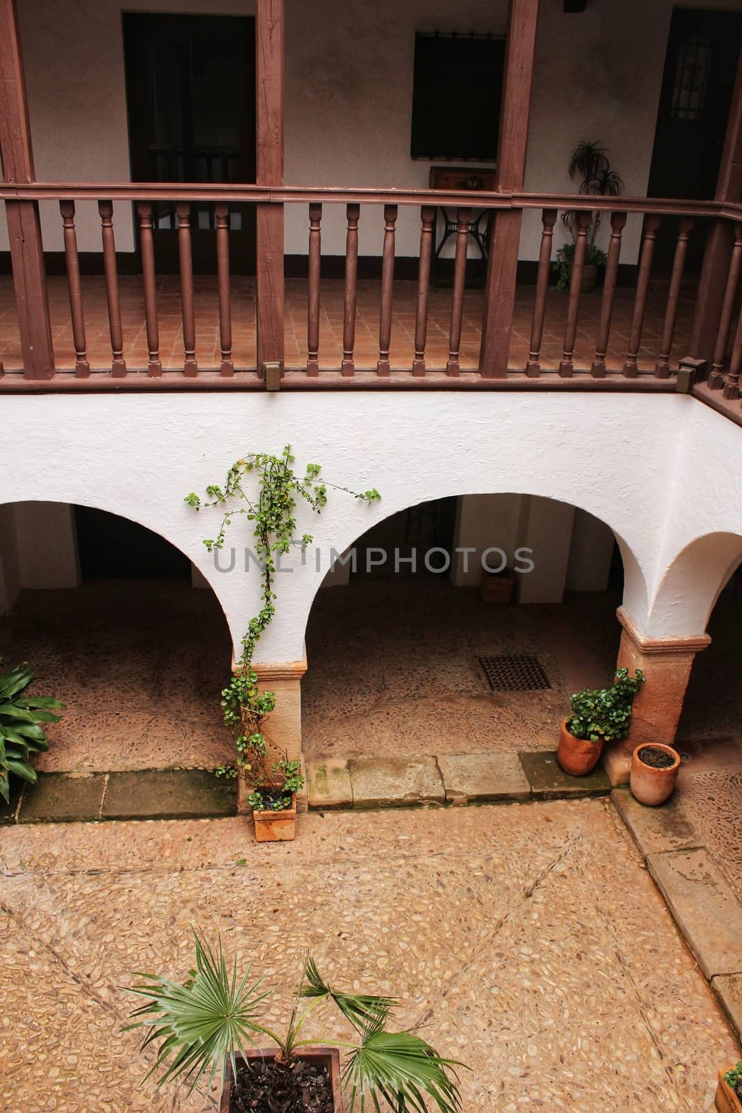 Courtyard of a typical house in Villanueva de los Infantes , Castilla la Mancha, Spain