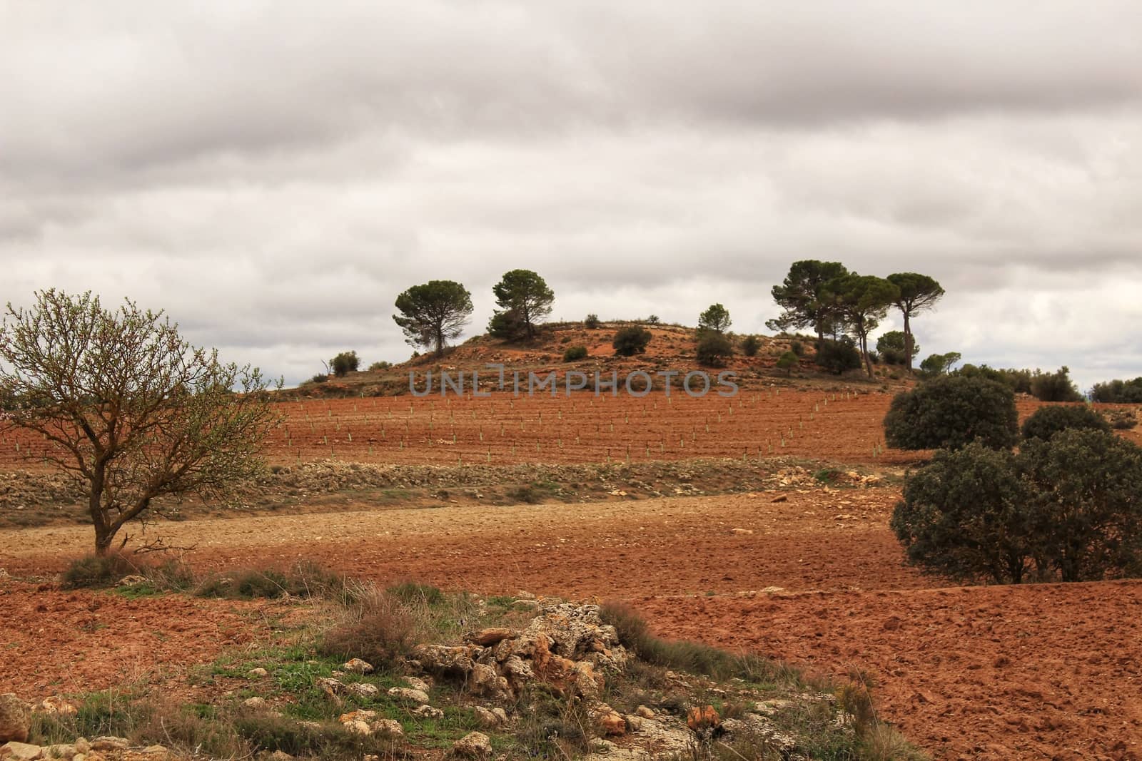 Landscape with cloudy sky and farm field in Castilla La Mancha, Spain