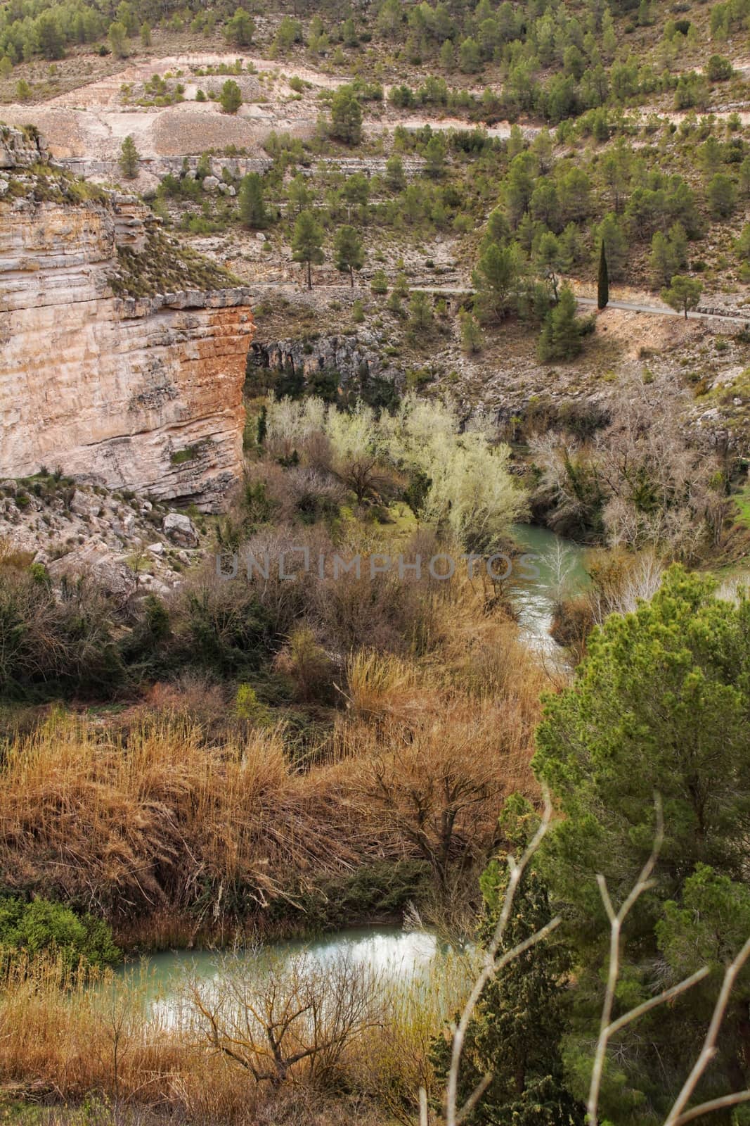 The River Jucar between vegetation by soniabonet