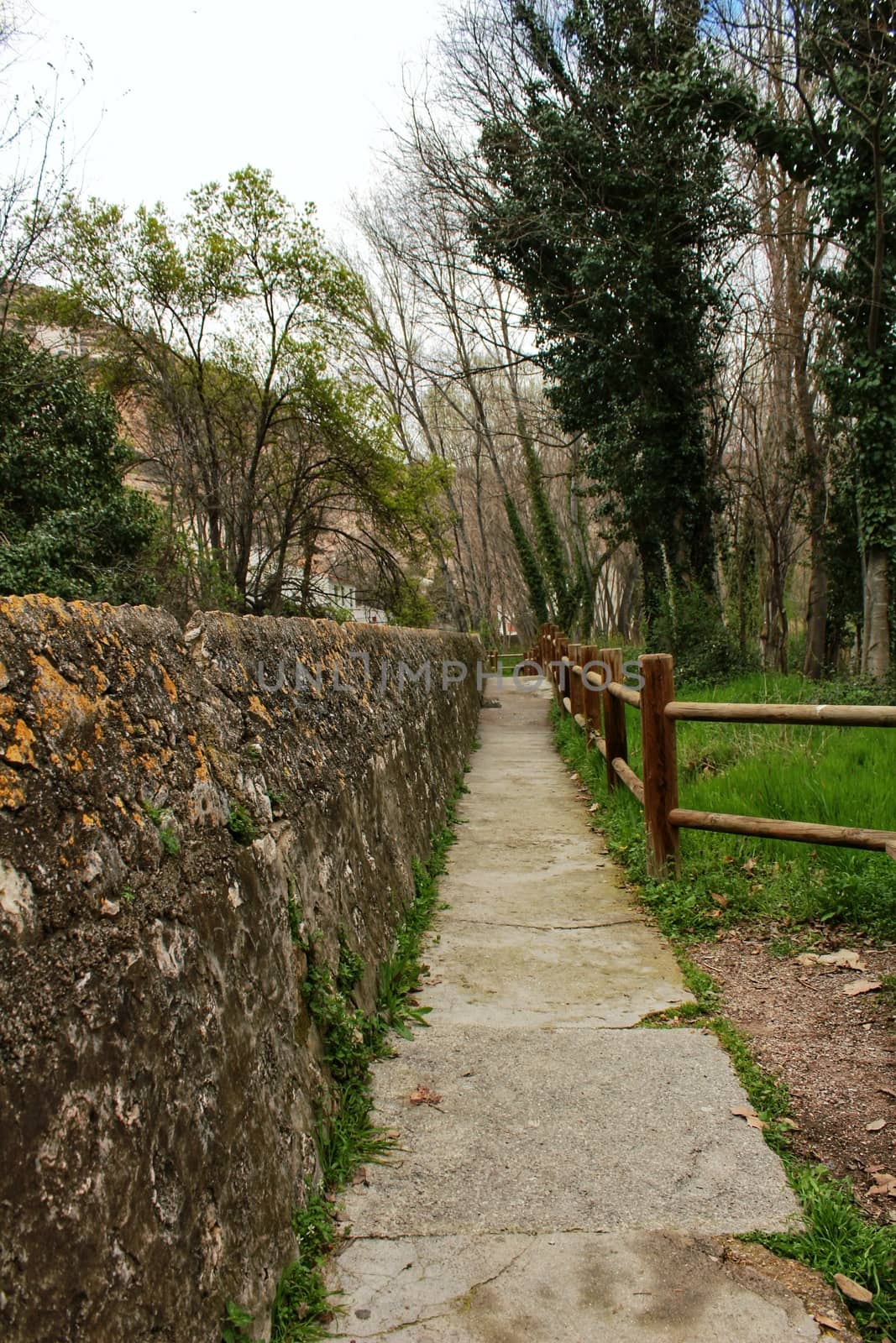 Mountain landscape and path between green vegetation in spring by soniabonet