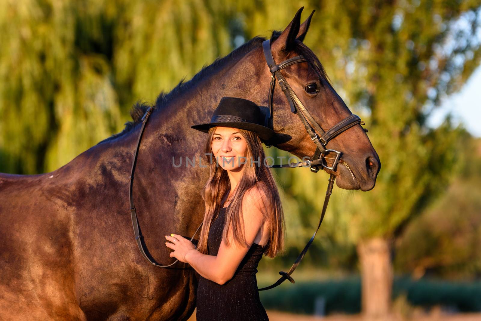Beautiful girl hugs a horse in the rays of the setting sun