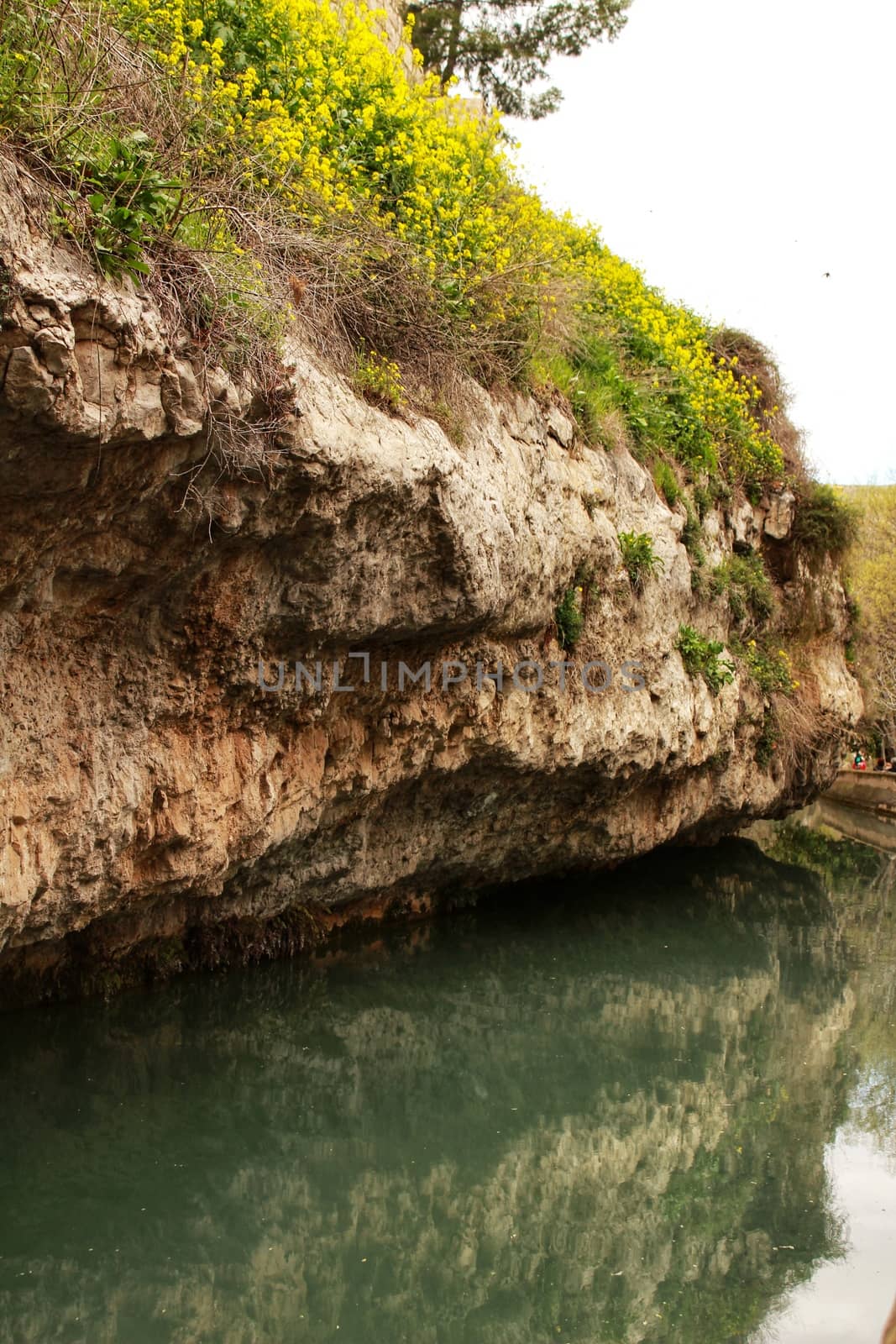 Water channel in Alcala del Jucar and vegetation