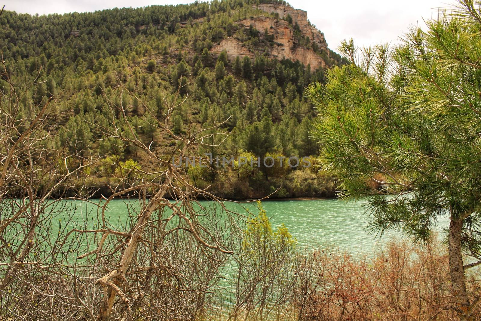 Tolosa reservoir surrounded by vegetation and mountains in Alcala del Jucar village, Albacete, Spain