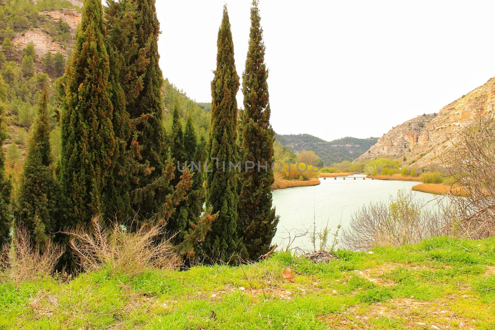 Tolosa reservoir surrounded by vegetation and mountains by soniabonet
