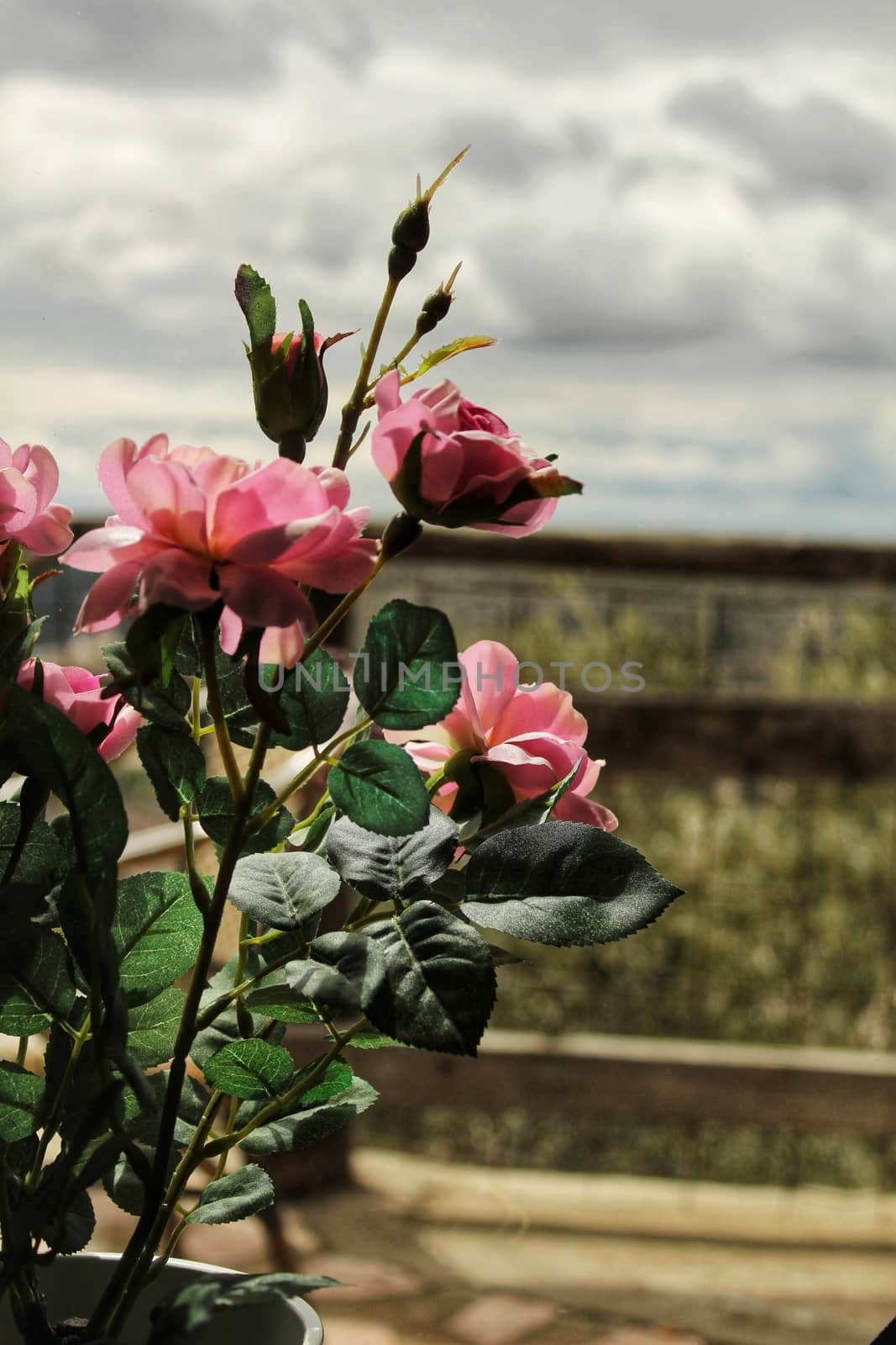 Pink fabric flowers in vase with landscape in the background