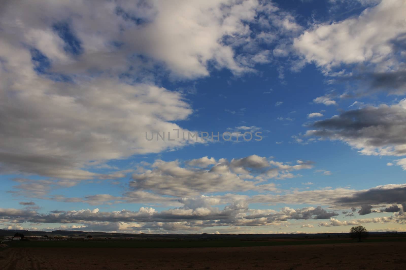 Landscape with cloudy sky and farm field in Castilla La Mancha by soniabonet