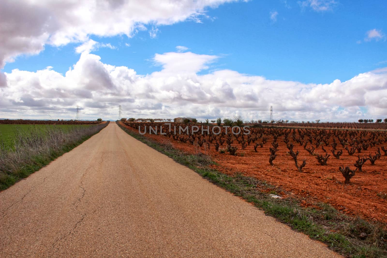 Landscape of vineyards with red land under gray sky next to the road in Castilla la Mancha, Spain