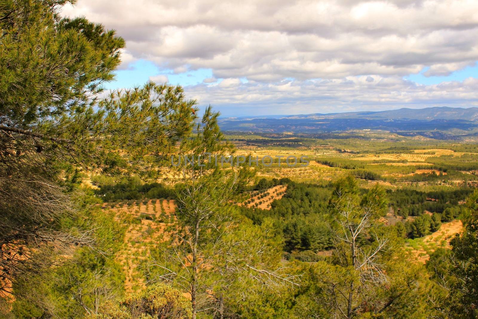 Landscape of the Sierra of Utiel Requena in Valencia, Spain by soniabonet