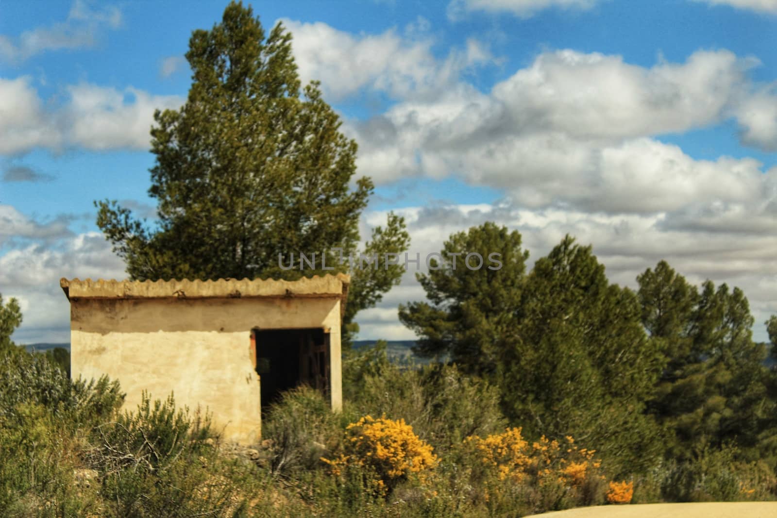 Stone house on the mountain surrounded by Yellow retama sphaerocarpa, wild rosmarinus officinalis and pines under cloudy sky