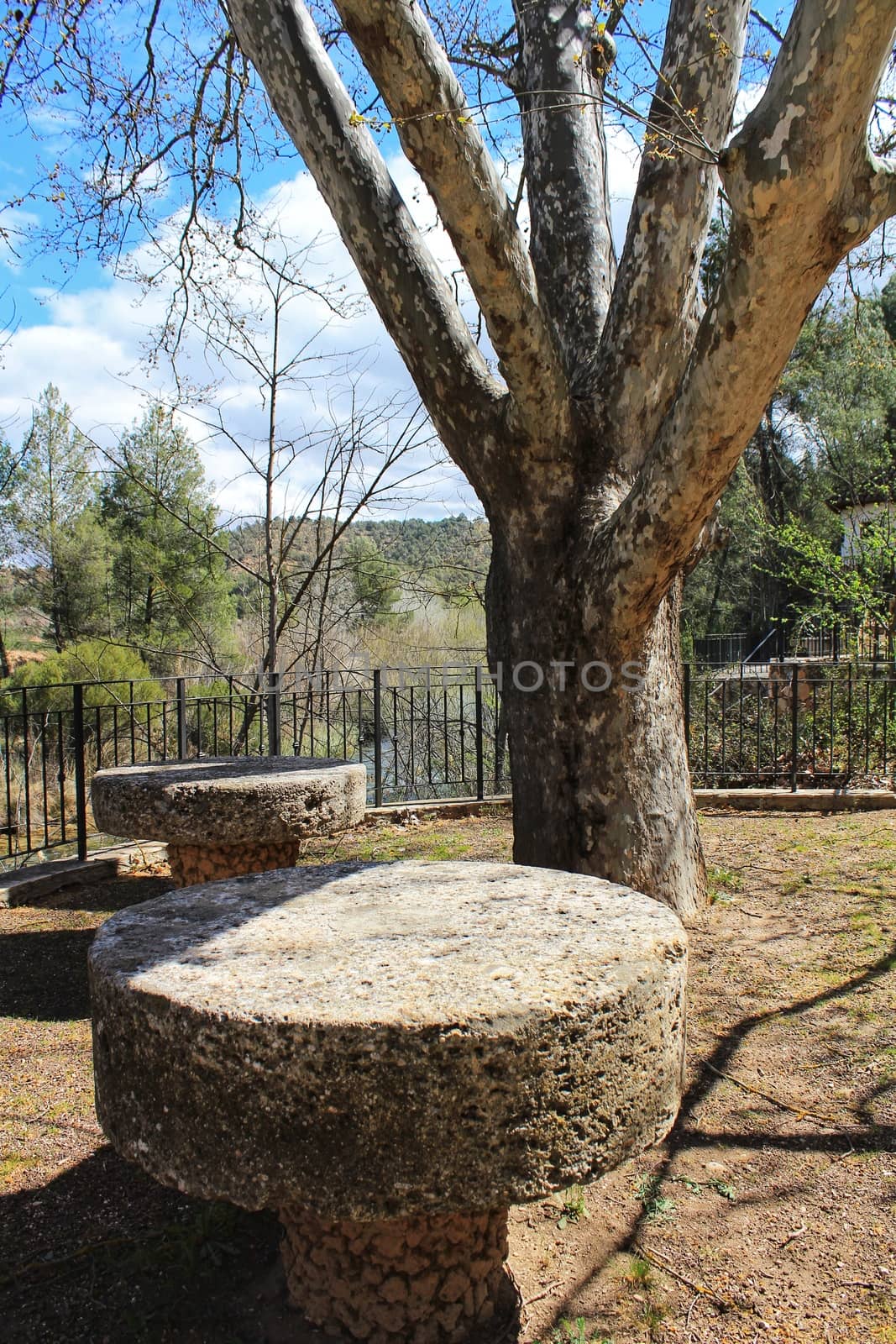 Stone tables next to a tree in a park by soniabonet