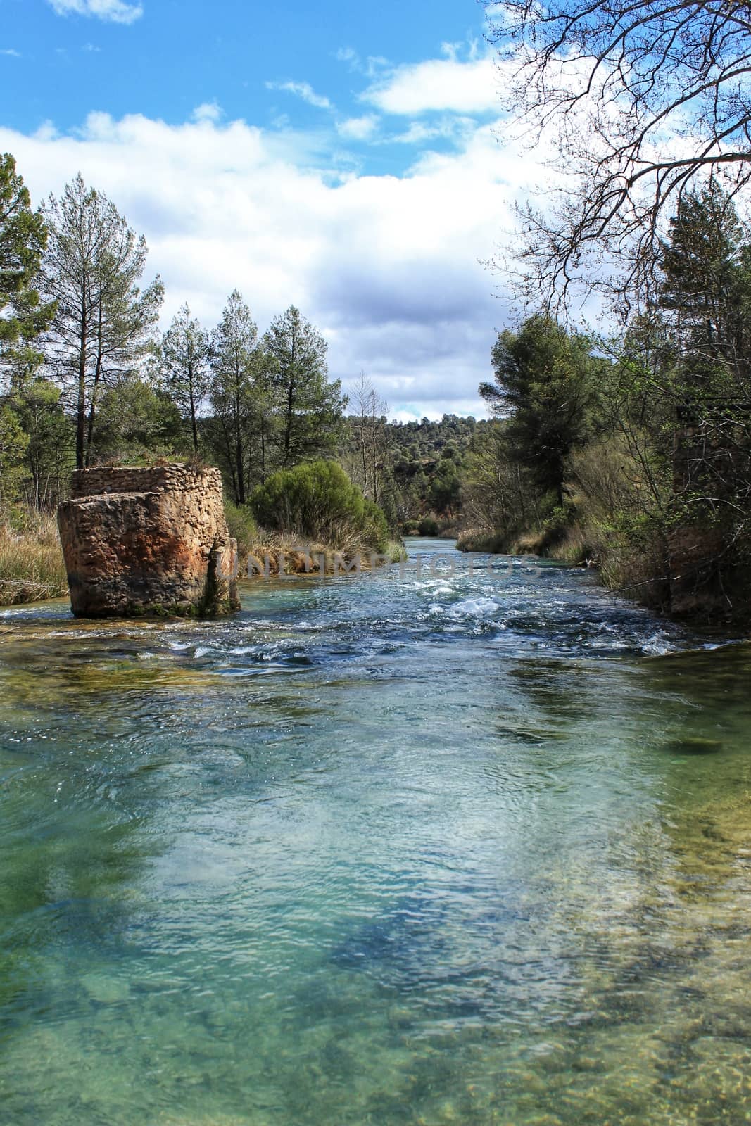 Cabriel River with crystal clear waters and surrounded by green vegetation by soniabonet