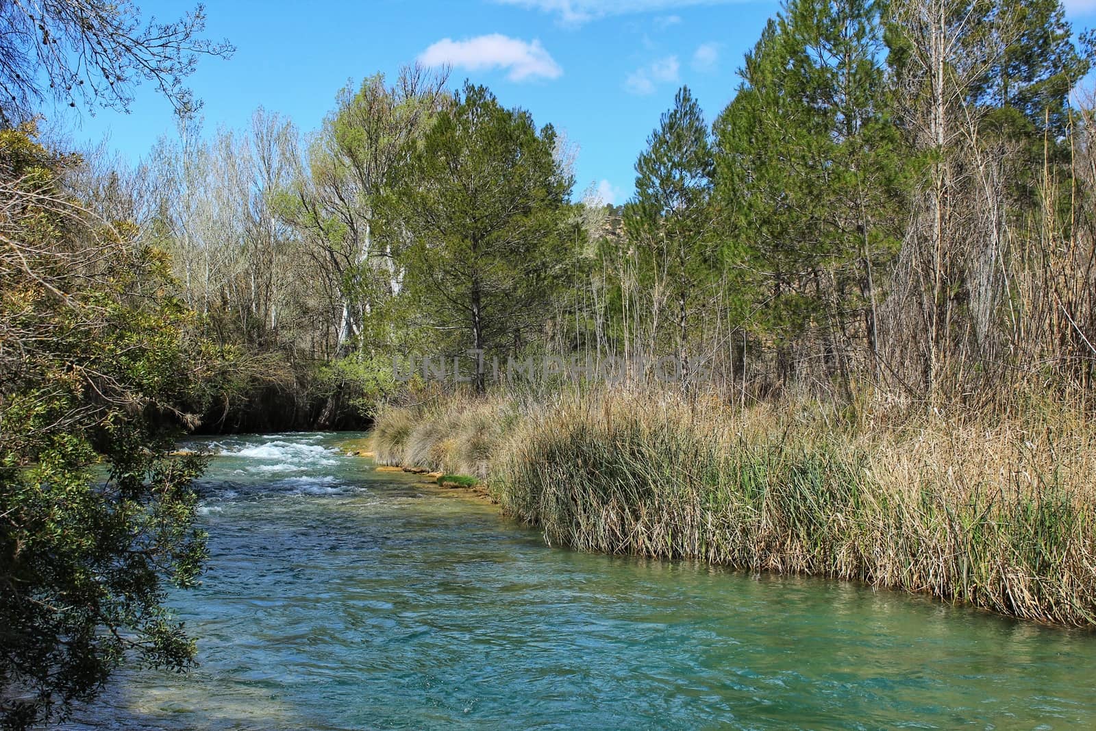 Cabriel River with crystal clear waters and surrounded by green vegetation in the mountains of Albacete, Spain