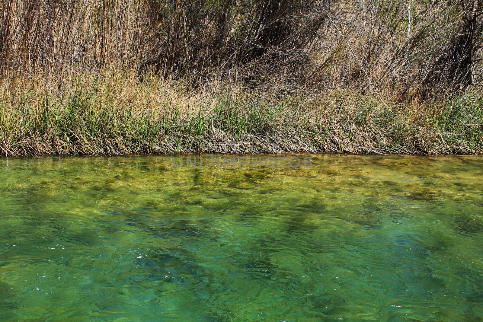 Cabriel River with crystal clear waters and surrounded by green vegetation in the mountains of Albacete, Spain