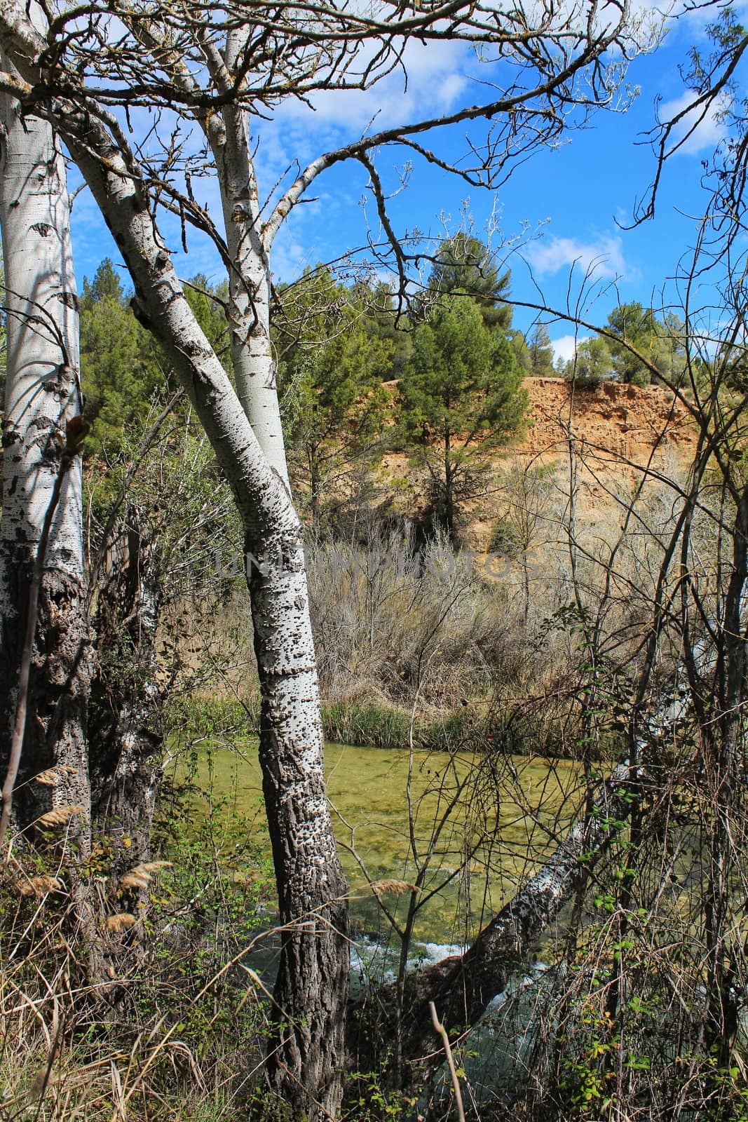 Cabriel River with crystal clear waters and surrounded by green vegetation in the mountains of Albacete, Spain