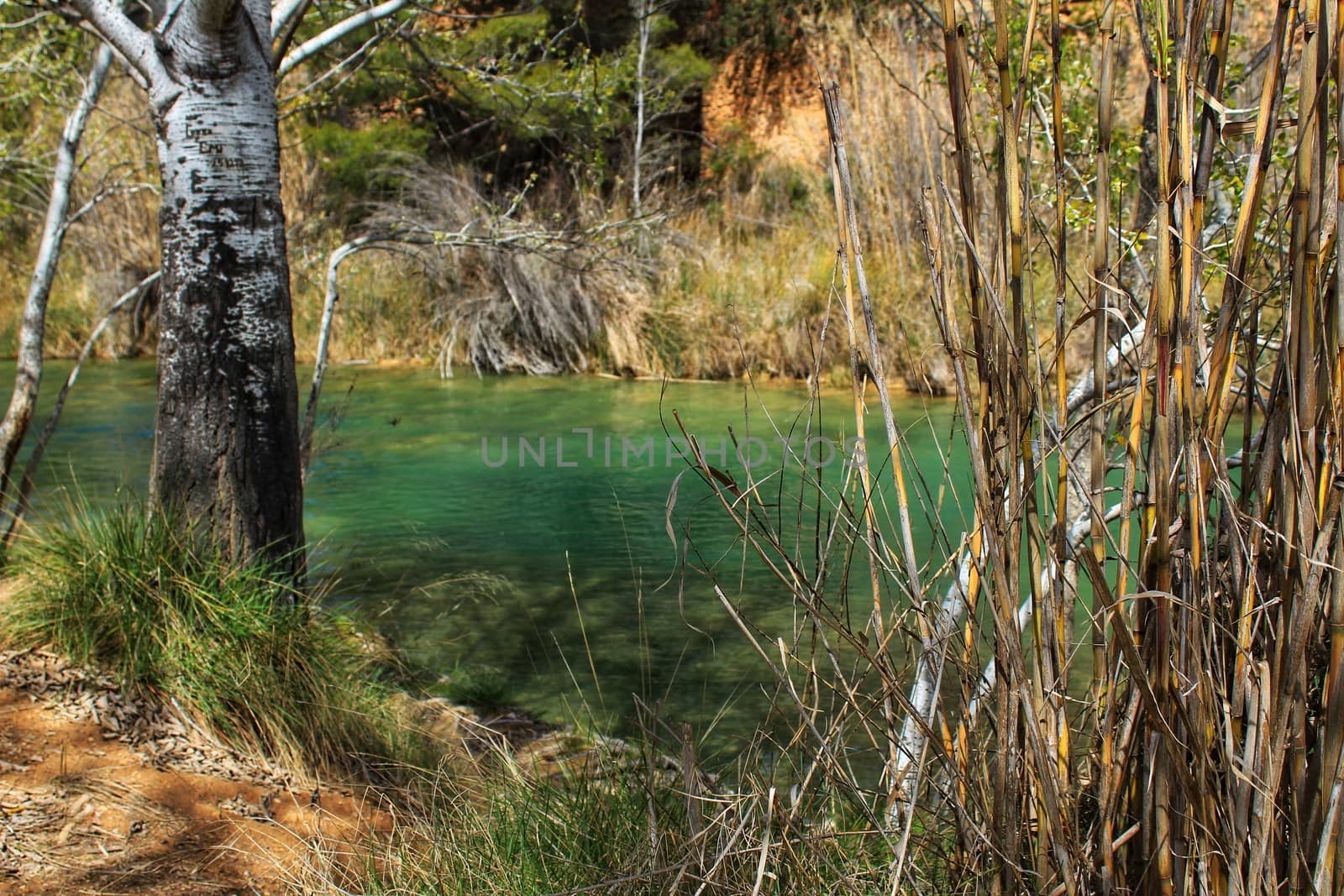 Cabriel River with crystal clear waters and surrounded by green vegetation in the mountains of Albacete, Spain