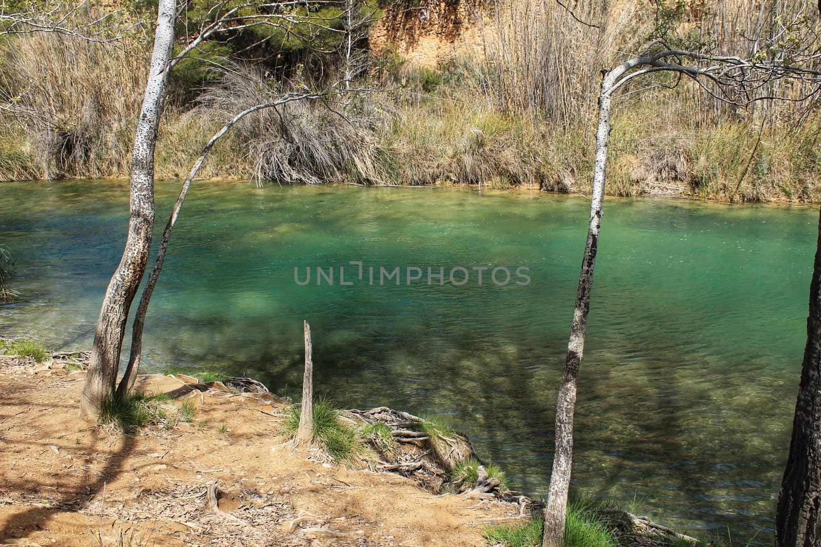 Cabriel River with crystal clear waters and surrounded by green vegetation in the mountains of Albacete, Spain