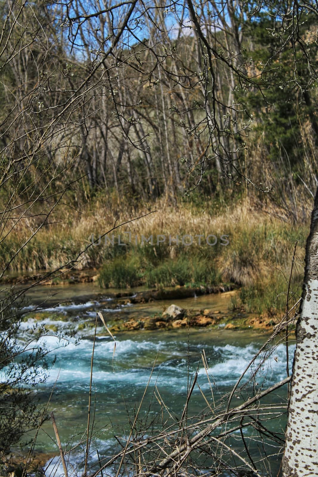 Cabriel River with crystal clear waters and surrounded by green vegetation by soniabonet