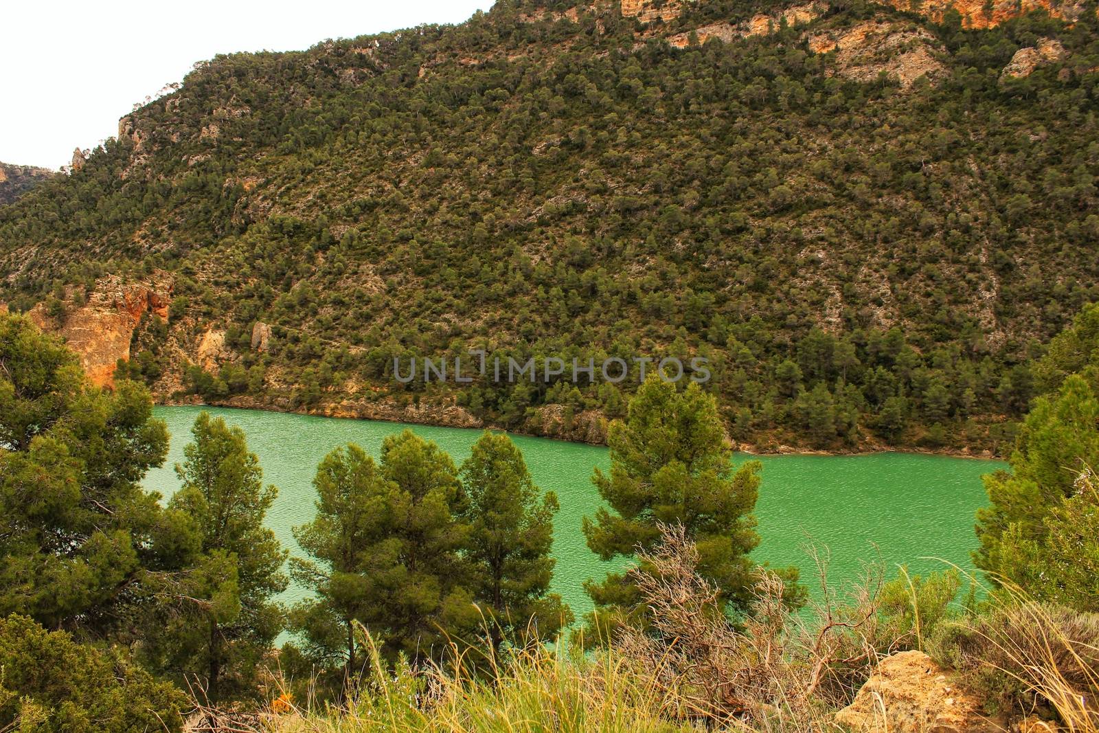 Swamp surrounded by mountains and colorful vegetation in El Molinar, Casas de Ves, Spain. Crystal Clear Waters of Cabriel River