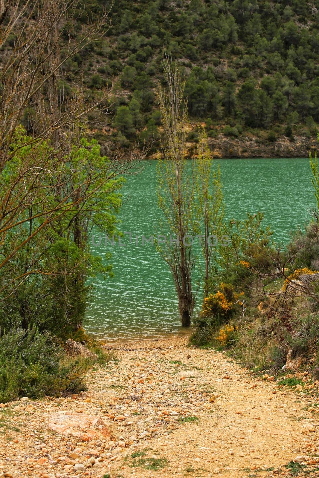 Swamp surrounded by mountains in El Molinar, Casas de Ves, Spain by soniabonet