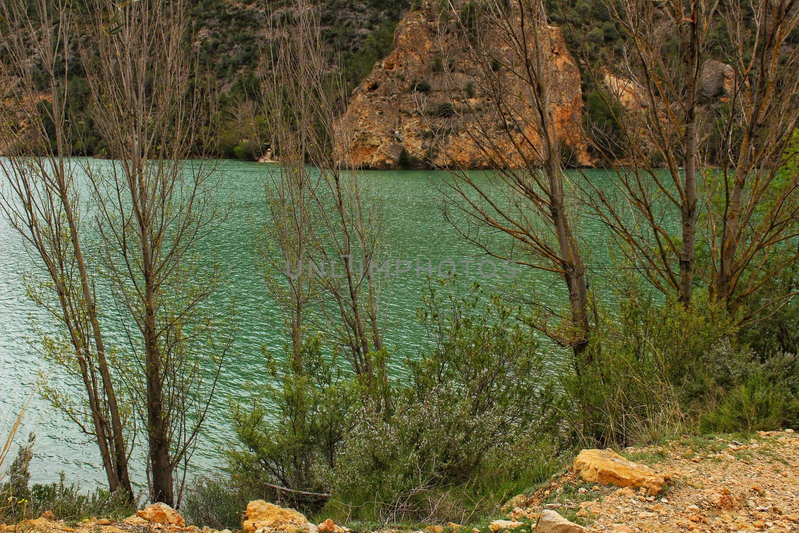 Swamp surrounded by mountains and colorful vegetation in El Molinar, Casas de Ves, Spain. Crystal Clear Waters of Cabriel River